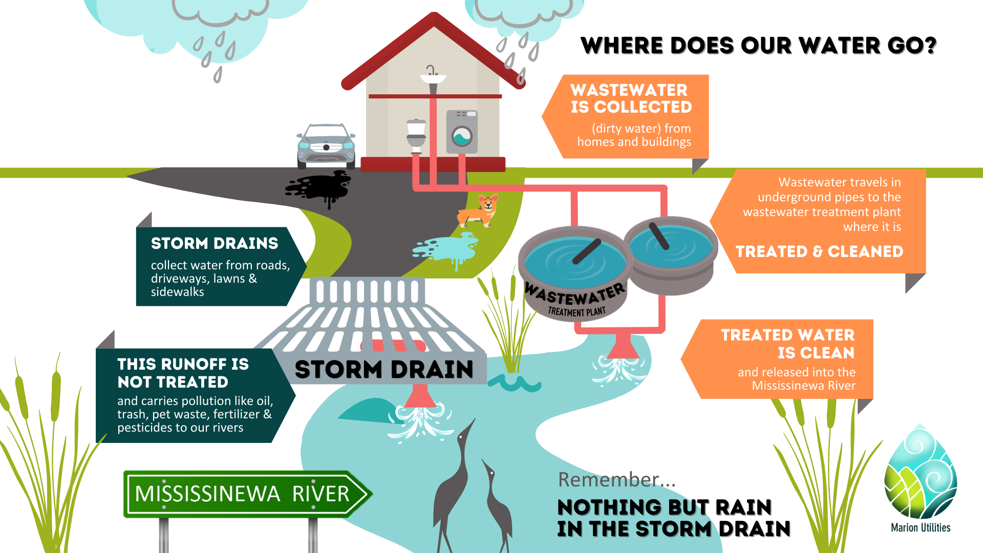 Stormwater-Info-Sheet-1920x1080-1